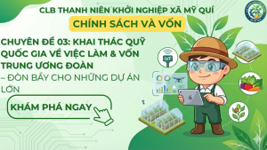Vốn vay Trung ương Đoàn: Đòn bẩy cho dự án lớn | CLB Mỹ Quí