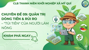 quan-ly-tai-chinh-nong-nghiep-clb-my-qui.