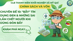 Phòng tránh tín dụng đen & Sai lầm dùng đòn bẩy | CLB Mỹ Quí