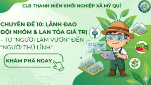 xay-dung-doi-nhom-clb-thanh-nien-khoi-nghiep-my-qui.